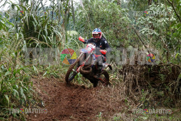 /img/fotos/event_116/bcs_0198.jpg
