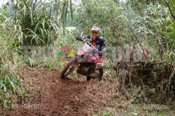 /img/fotos/event_116/bcs_0274.jpg