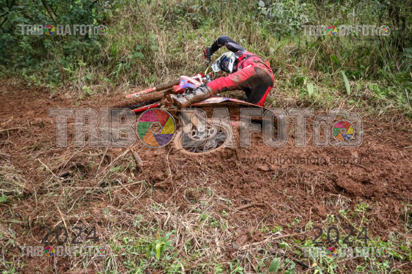 /img/fotos/event_116/bcs_0388.jpg
