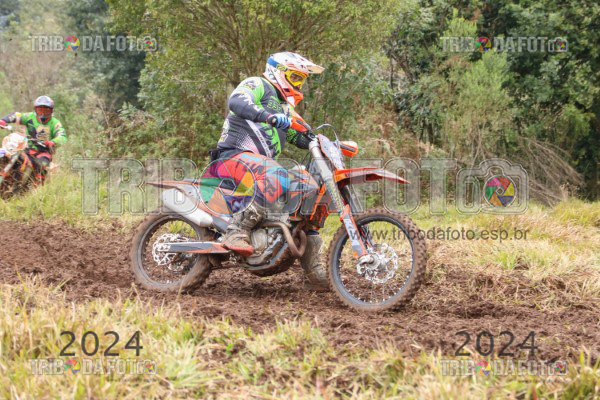 /img/fotos/event_120/arac_1500.jpg