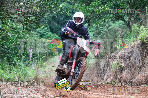 /img/fotos/event_123/ita_1806.jpg