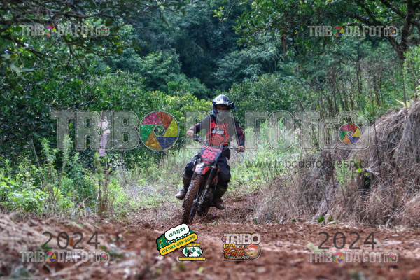 /img/fotos/event_123/ita_1961.jpg
