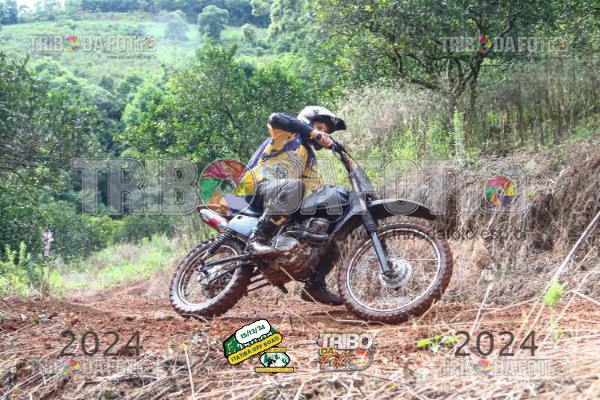 /img/fotos/event_123/ita_1999.jpg