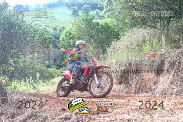 /img/fotos/event_123/ita_2002.jpg