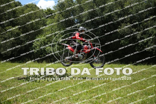 /img/fotos/event_142/gra_0831.jpg