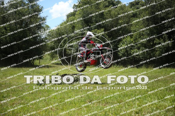 /img/fotos/event_142/gra_1115.jpg
