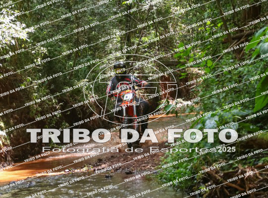 /img/fotos/event_142/gra_1916.jpg
