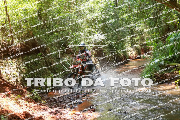 /img/fotos/event_142/gra_1918.jpg