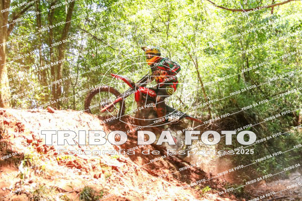 /img/fotos/event_142/gra_2014.jpg