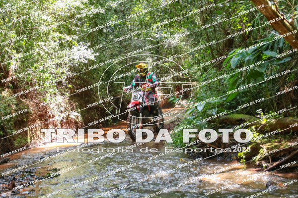 /img/fotos/event_142/gra_2025.jpg