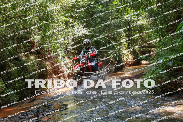 /img/fotos/event_142/gra_2064.jpg