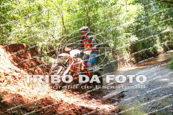 /img/fotos/event_142/gra_2075.jpg