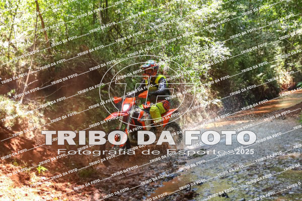 /img/fotos/event_142/gra_2087.jpg