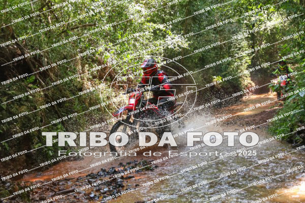 /img/fotos/event_142/gra_2302.jpg