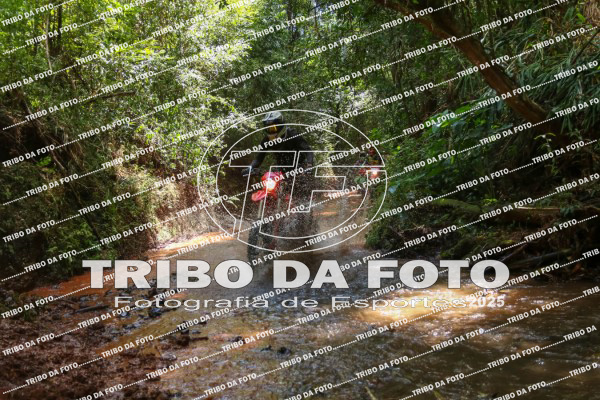 /img/fotos/event_142/gra_2389.jpg