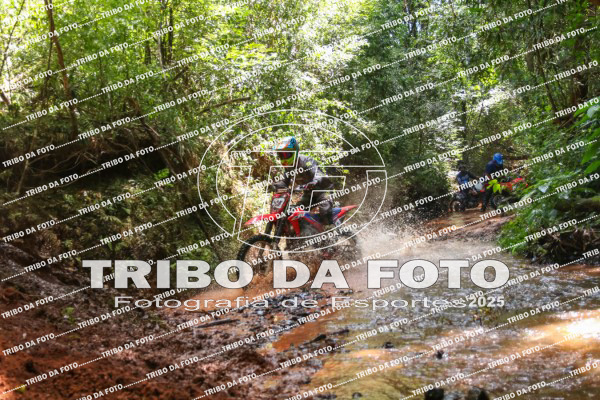 /img/fotos/event_142/gra_2723.jpg