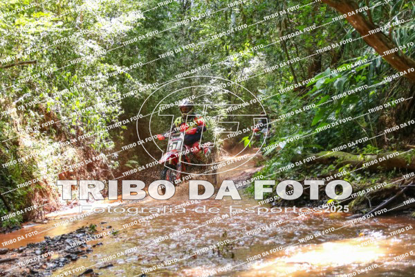 /img/fotos/event_142/gra_2739.jpg