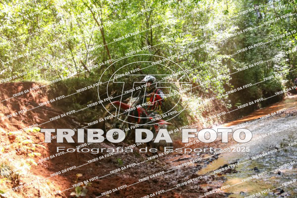 /img/fotos/event_142/gra_2836.jpg