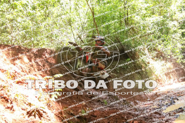 /img/fotos/event_142/gra_3011.jpg