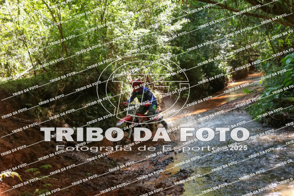 /img/fotos/event_142/gra_3143.jpg