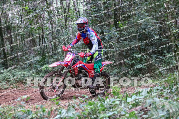 /img/fotos/event_143/cuco_1866.jpg
