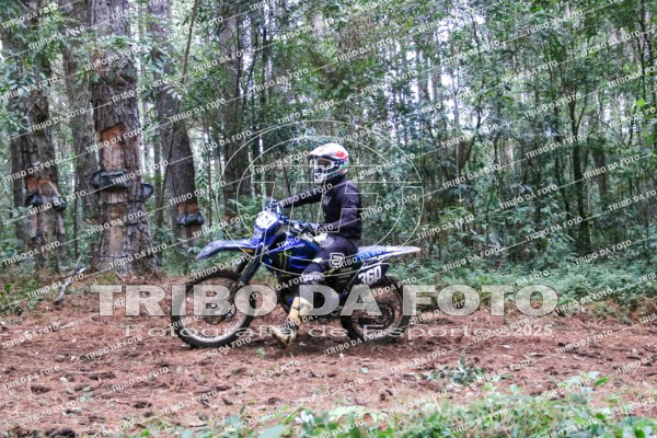 /img/fotos/event_143/cuco_2000.jpg