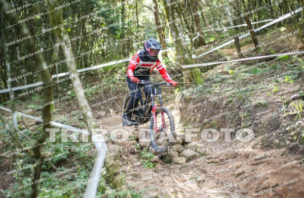 /img/fotos/event_145/dhnp_3252.jpg