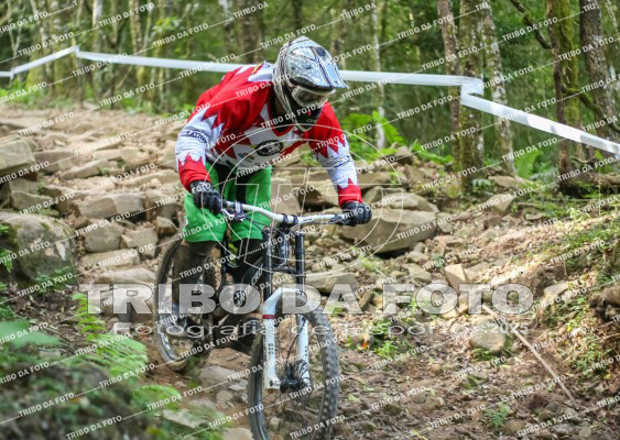 /img/fotos/event_145/dhnp_3290.jpg