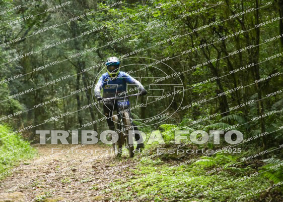 /img/fotos/event_145/dhnp_3383.jpg